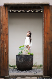 钢琴家 电影